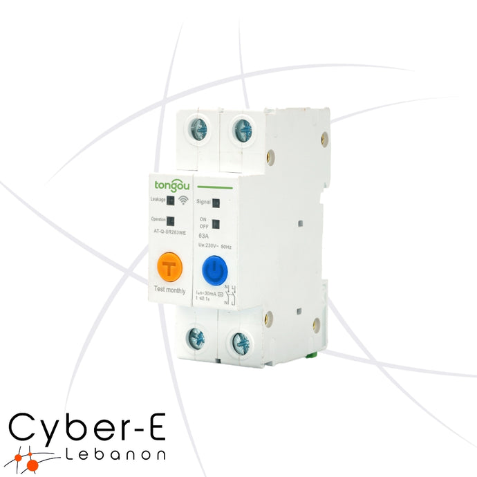 2P WiFi Smart Circuit Breaker Power Meter 63A