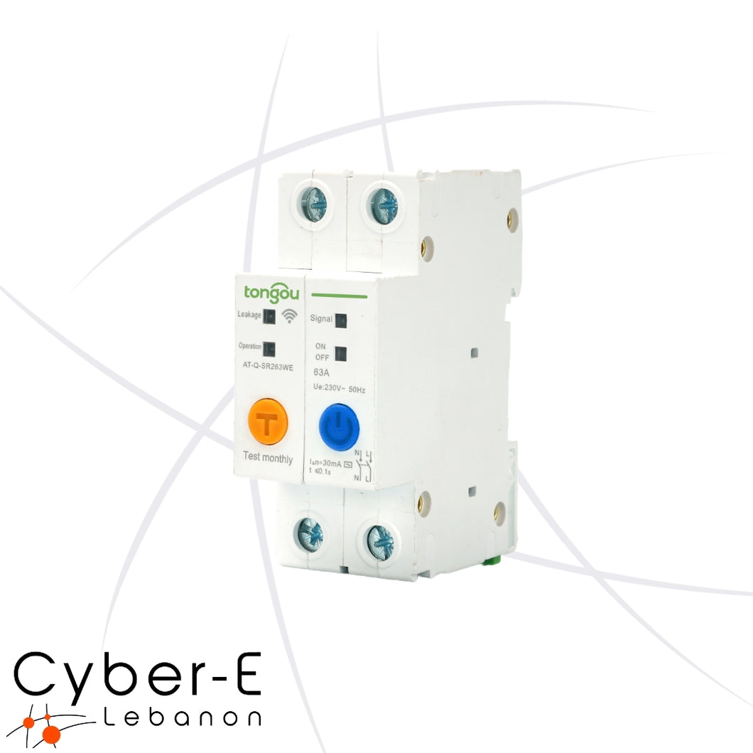 2P WiFi Smart Circuit Breaker Power Meter 63A