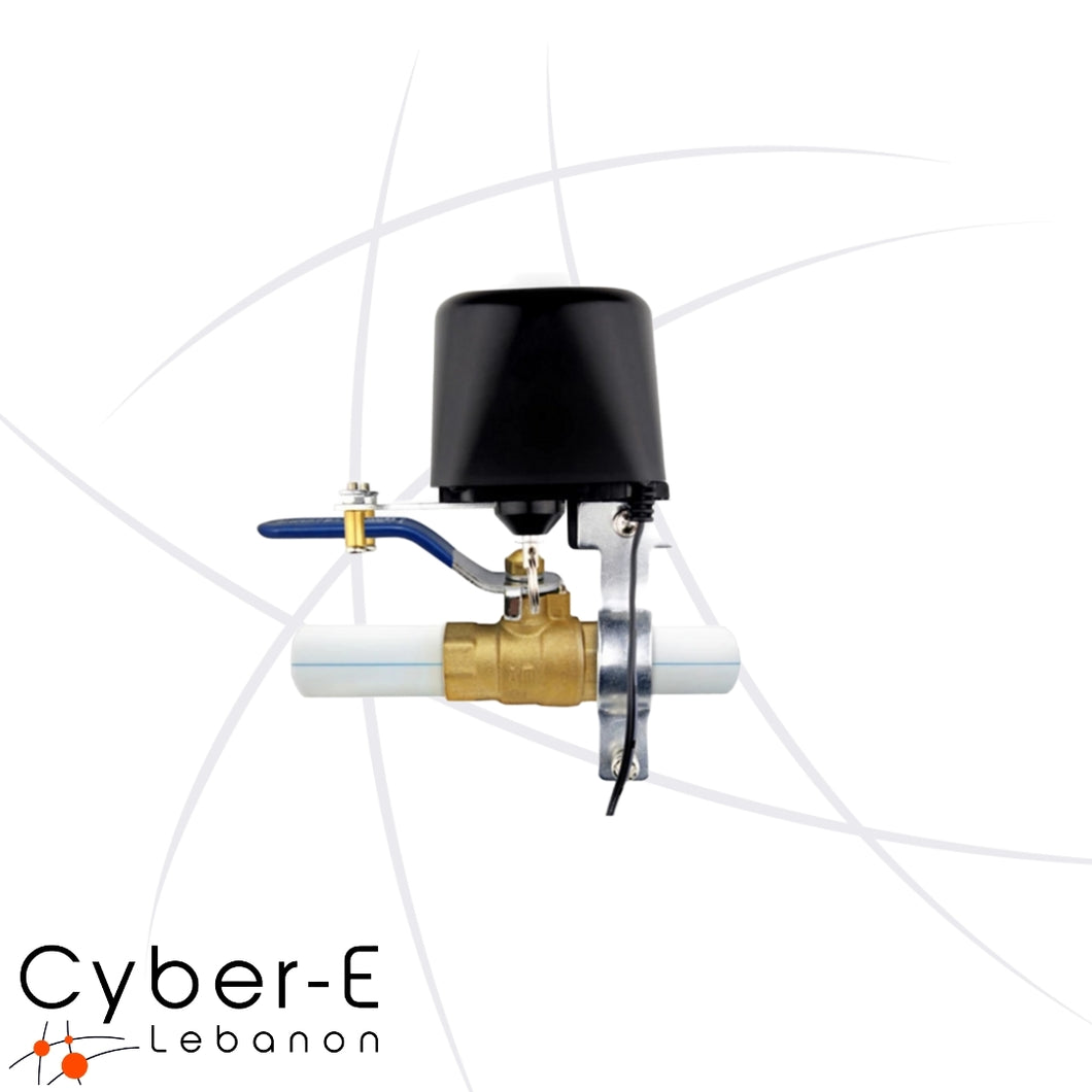 eWelink WiFi Smart Water Valve